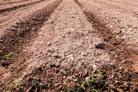 Dry soil for plants stock photo. Image of agriculture - 71607684