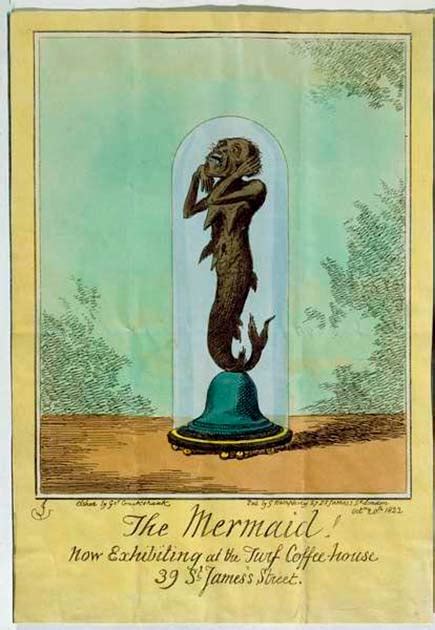 The Fiji Mermaid: What Was It and Why Did It Garner Such Interest? - Historic Mysteries