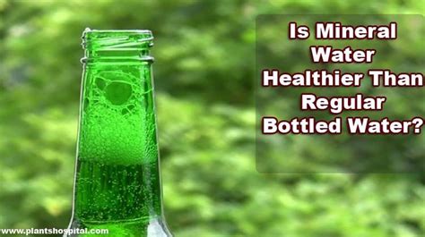 10 Best Proven Health Benefits Of Mineral Water (Drink More Today)