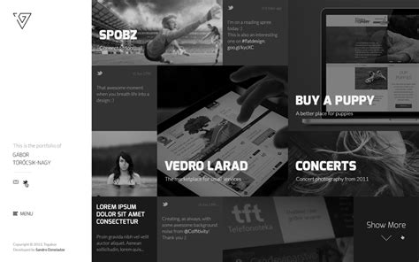 Web design, Lorem ipsum, Design