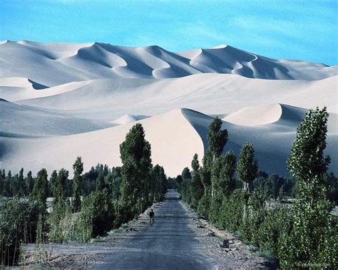 Khám Phá Sa Mạc Gobi - Mông Cổ - Migola Travel