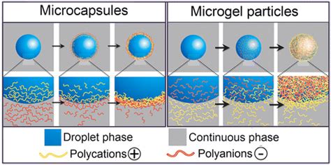 Affinity Partitioning Induced Self Assembly In Aqueous Two Phase