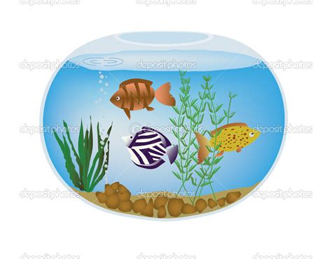 Pecera con peces de colores exóticos y algas Vector de stock