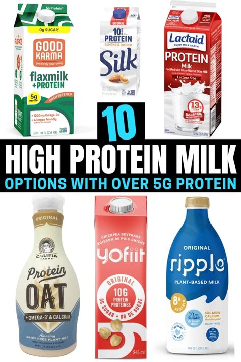 10 High Protein Milk Options I Love