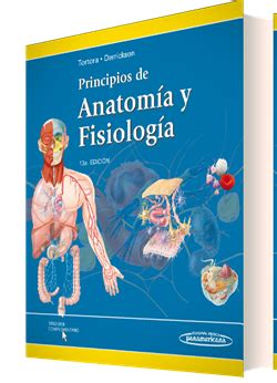 DESCARGAR PRINCIPIOS DE ANATOMIA Y FISIOLOGIA TORTORA 11 EDICION PDF