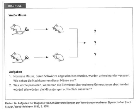 Offene Fragen Biodidaktik Karteikarten Quizlet