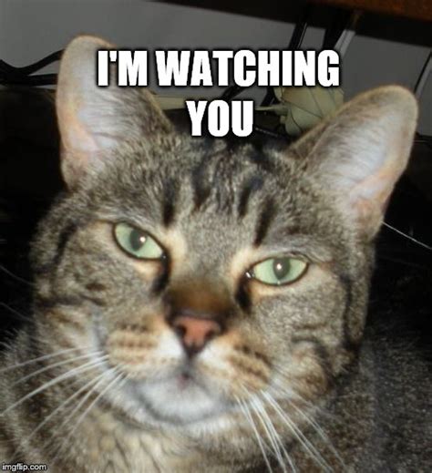 Watching You Memes And S Imgflip