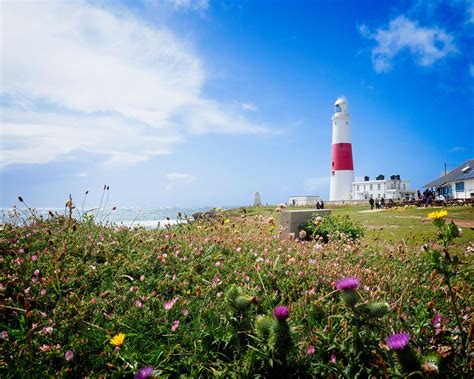 Portland Bill Dorset July 2023 Amanda Threlfall Flickr