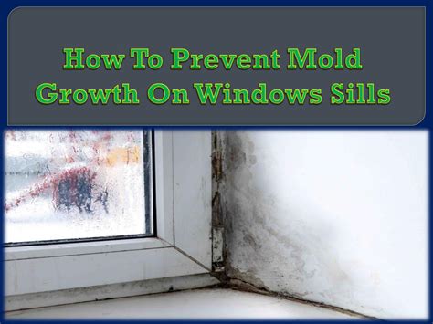 How To Prevent Mold Growth On Windows Sills By Ultimate Mold Crew Issuu