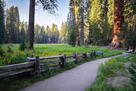 10 Wheelchair-accessible National Park Trails in the U.S.