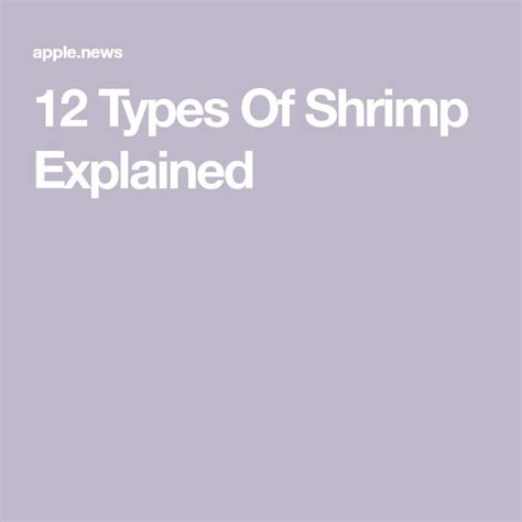 12 Types Of Shrimp Explained Tasting Table Shrimp Shrimp Recipes