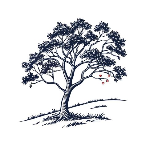 texas persimmon tree 2