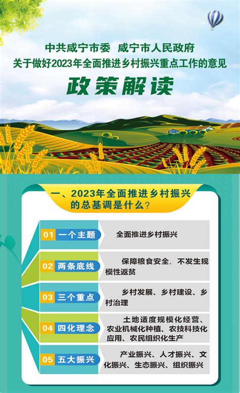 《关于做好2023年全面推进乡村振兴重点工作的意见》【政策解读】 咸宁市农业农村局门户网站