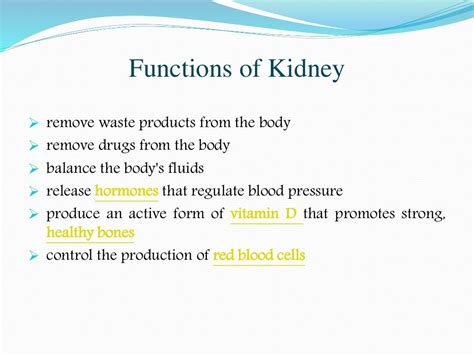 Chronic Glomerulonephritis - Symptoms, Diagnosis, Treatment of Chroni…