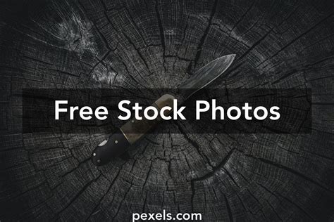 Forest Cutting Photos, Download The BEST Free Forest Cutting Stock Photos & HD Images