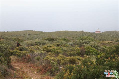 Giglio Paradise Run Trail 13 Senza Panorama Francesco Ianett