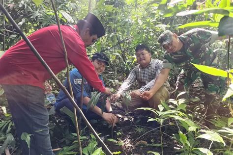 Jalan Panjang Konservasi Kabupaten Banggai Konsisten Dalam Pelestarian