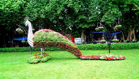 Lalbagh Flower Show January Dates Timings Theme Ticket Price Online