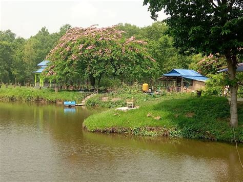 This Pond Of Park Form Eastern Region Nepal Stock Photo Image Of Pond