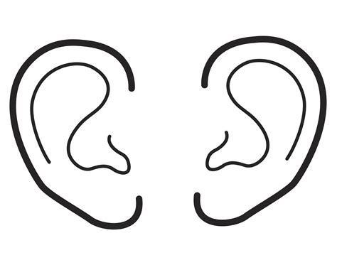 illustration   ears ear picture coloring pages ear