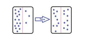 Diffusion - Definition, Examples and Types | Biology Dictionary