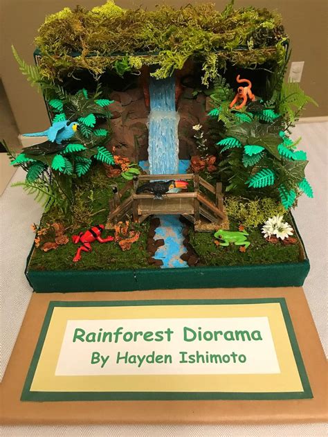 Rainforest Diorama Examples