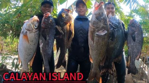 SPEARFISHING PHILIPPINES CALAYAN ISLAND EXPEDITION MEL