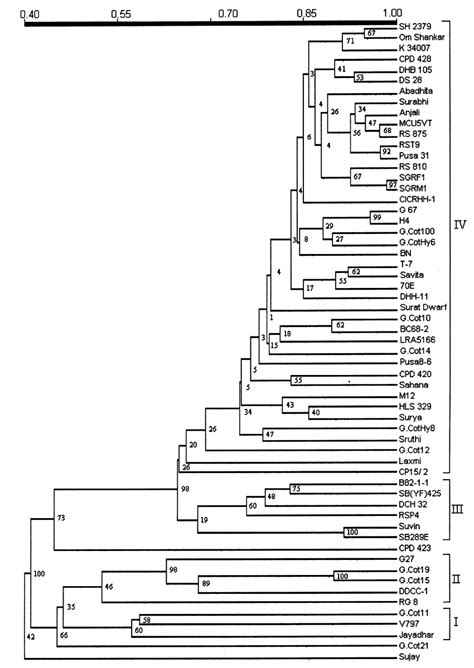 Upgma Cluster Analysis Based Dendrogram Depicting Genetic Relationships