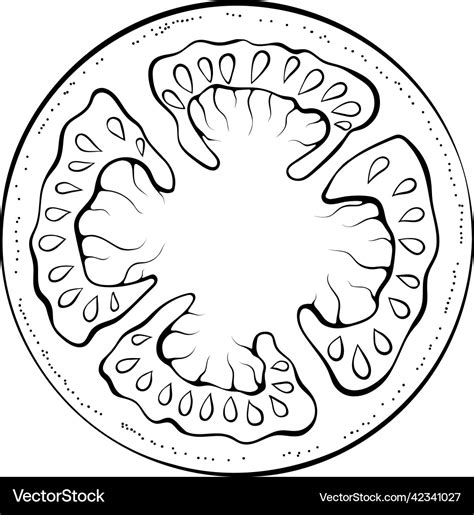 Tomato Slice Outline