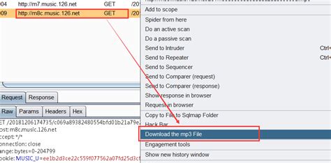 Burp Suite 网易云音乐下载插件 HawSkull s Blog