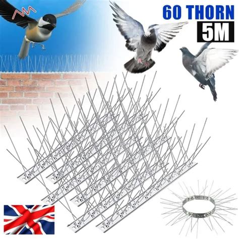 X M Steel Bird Spikes For Pigeon Deterrent Wall Fences Spikes Cat