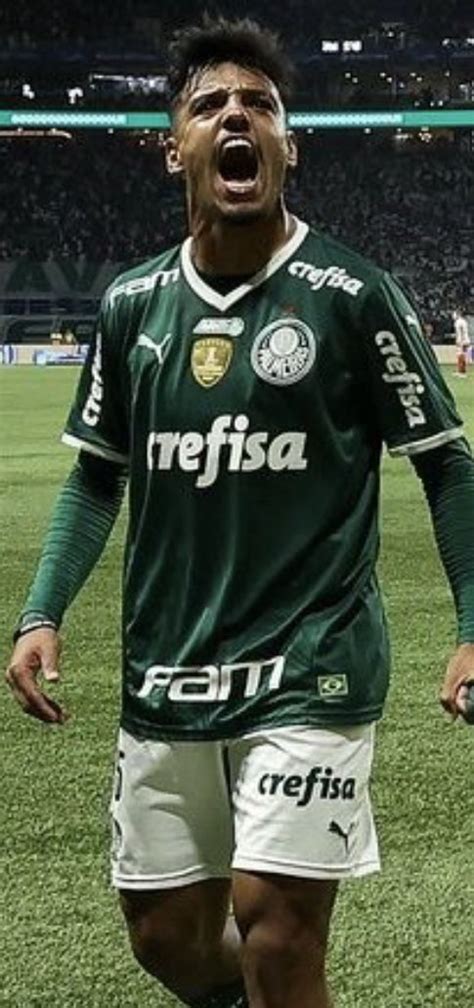 Pin De Sergio Em Palmeiras Avante