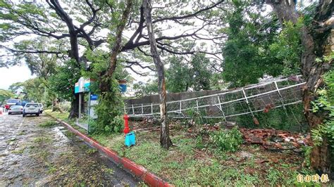 海葵肆虐高雄 台積電楠梓園區圍牆、行道樹倒塌 生活 自由時報電子報