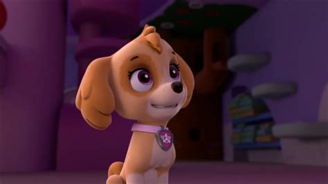 Image Capture 24 Png Paw Patrol Wiki Fandom Powered By Wikia