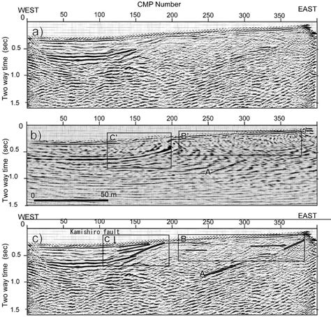P And S Wave Seismic Reflection Profiling Across The Kamishiro Fault