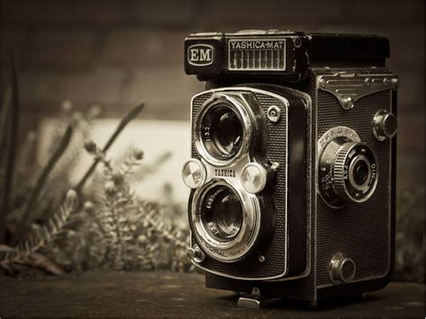 Picture Of Old Photo Camera Yashica