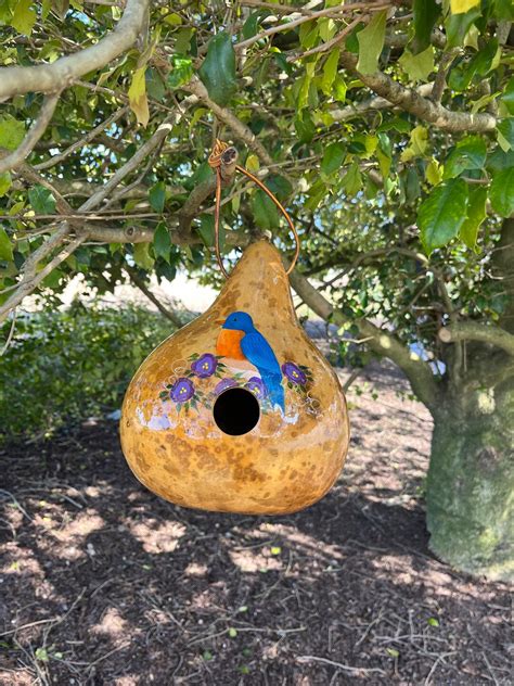 Gourd Birdhouse With Handpainted Bluebird And Violets G5 Etsy