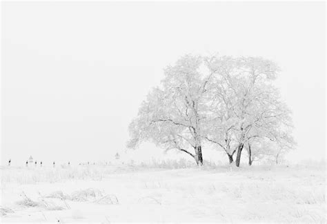 Winter Blues Photos, Download The BEST Free Winter Blues Stock Photos