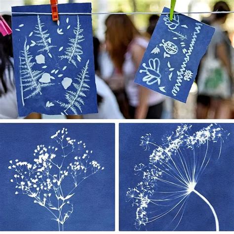 Cyanotype Starter Kit Cyanotype Printing Kit Sun Printing Etsy UK