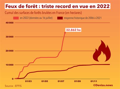 Feux De Forêt Mi Juillet Les Incendies En France Ont Déjà Fait Plus