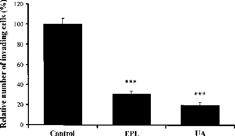 Inhibition Of In Vitro Invasion Of B16 F10 Cells By EPL And Ursolic