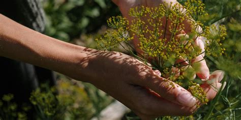 These Are The Absolute Best Gardening Tips For Spring - Brit + Co