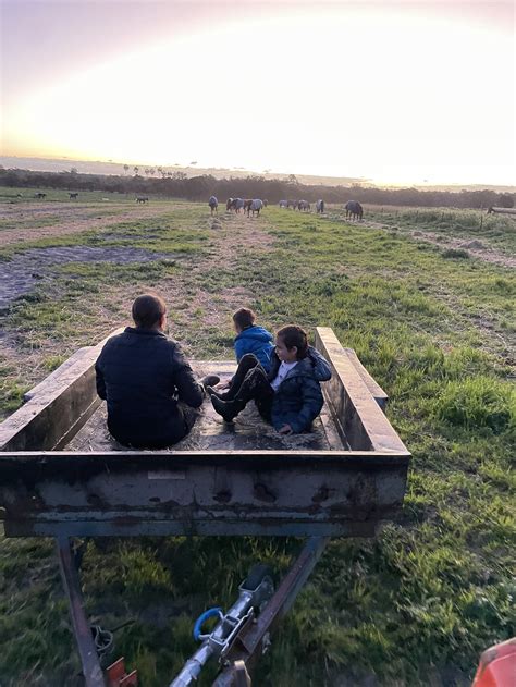 Classes — Yarrada Farm Riding School