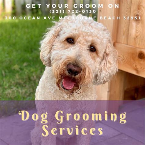 Dog Grooming Services • Get Your Groom On Dog Salon