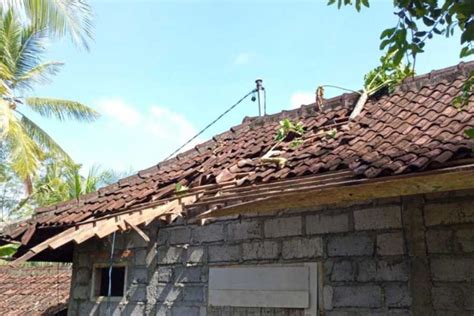 Hujan Deras Pohon Tumbang Rusak Rumah Dan Sekolah Di Mendoyo