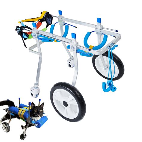 How To Build A Dog Exercise Wheel at Lachlan Culver blog