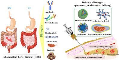 ibd journal  controlled release  mol