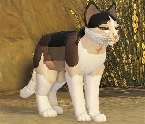 Brown White Wcue Morph In 2023 Warrior Cat Oc Warrior Cats Art