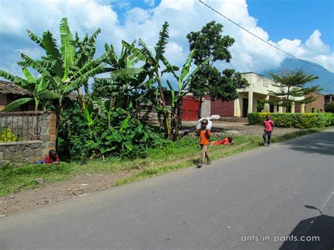 Rwanda – Uganda: Crossing the Border | Ants in Pants