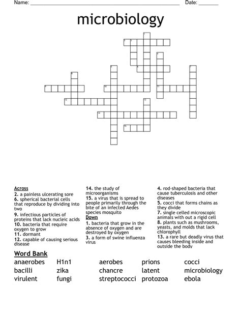 Microbiology Crossword Wordmint